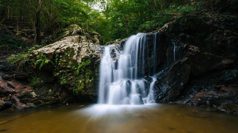 waterfall in Patapsco Valley State Park