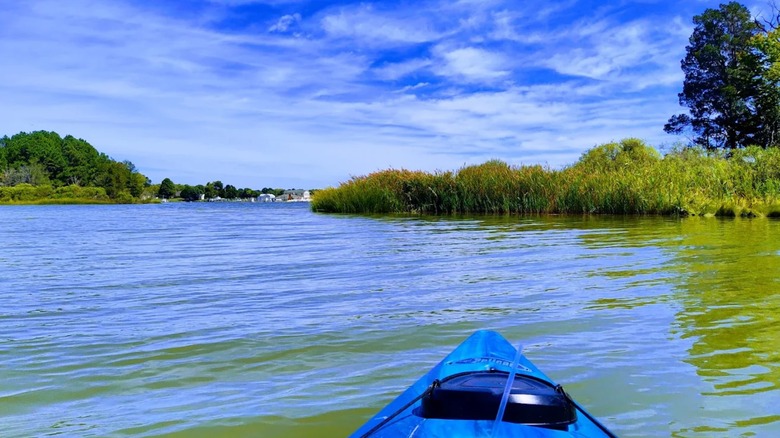 View of a kayak in the water at Newtowne Neck State Park