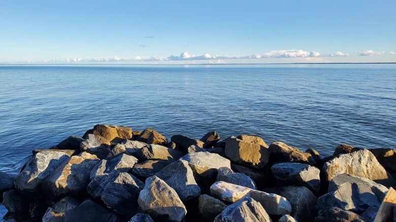 View of a rocky jetty at Newtowne Neck State Park