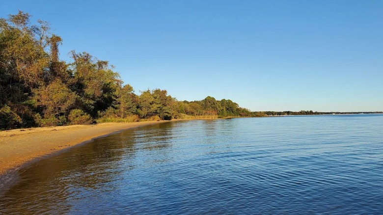 View of the beach at Newtowne Neck State Park