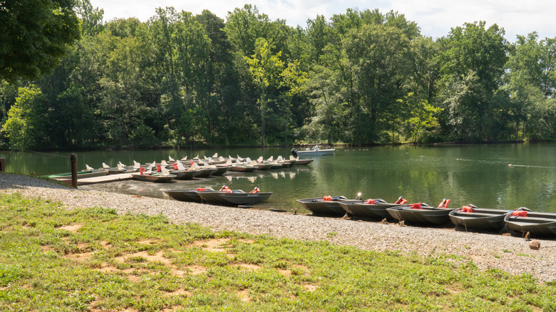 boats and lake in Towson