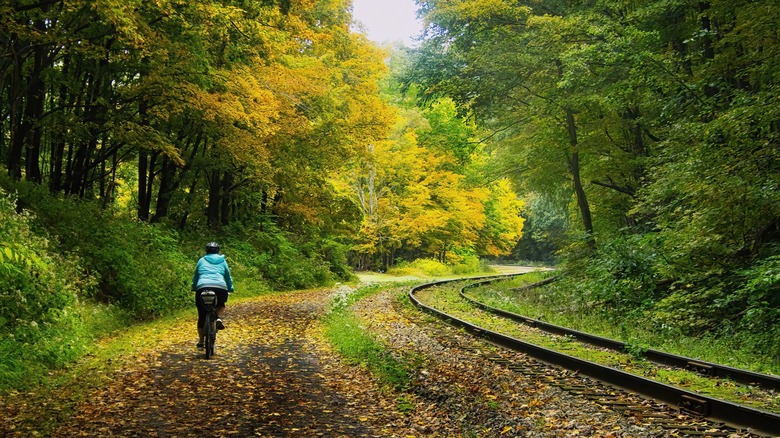 A cyclist bikes along the Great Allegheny Passage