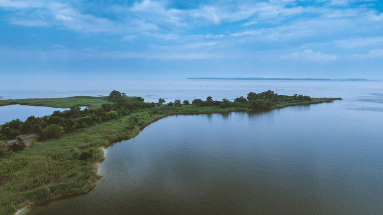 A green peninsula in Ferry Point Park in Maryland