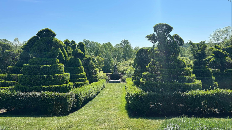Topiary and blue skies at Ladew Topiary Gardens