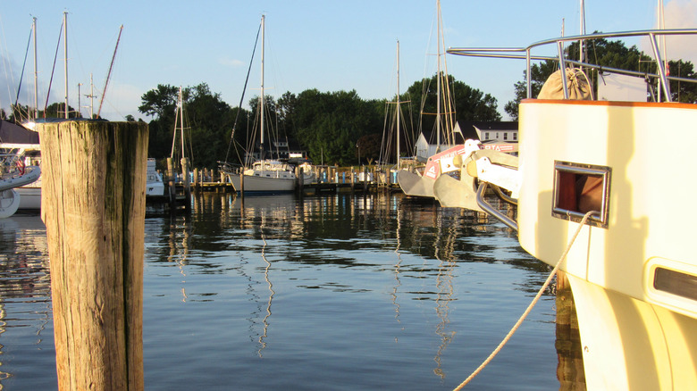 Boats at a marina in Rock Hall, Maryland