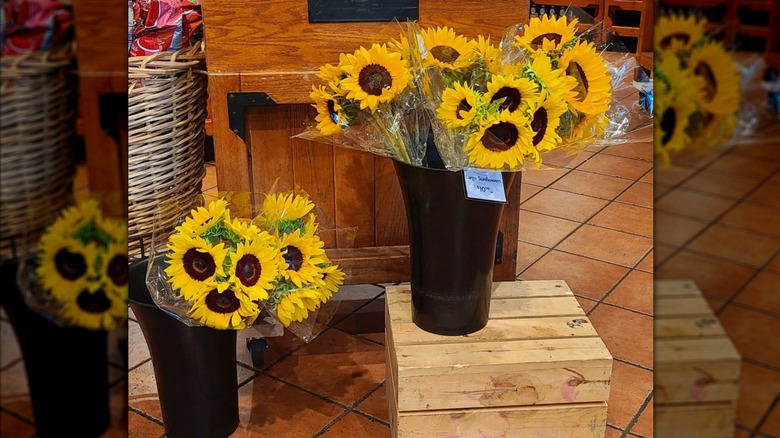 Sunflowers sold at The Fresh Market, part of The Shops at Quarry Lake