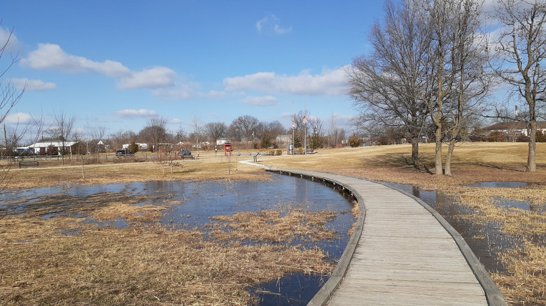 A picture of the boardwalk-style trail at North Point Battlefield State Park