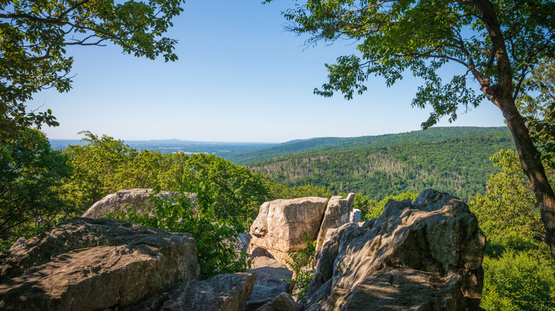 Mountain views from Catoctin Mountain Park
