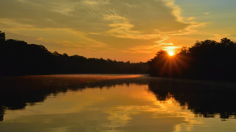 View of the Pocomoke River at sunrise