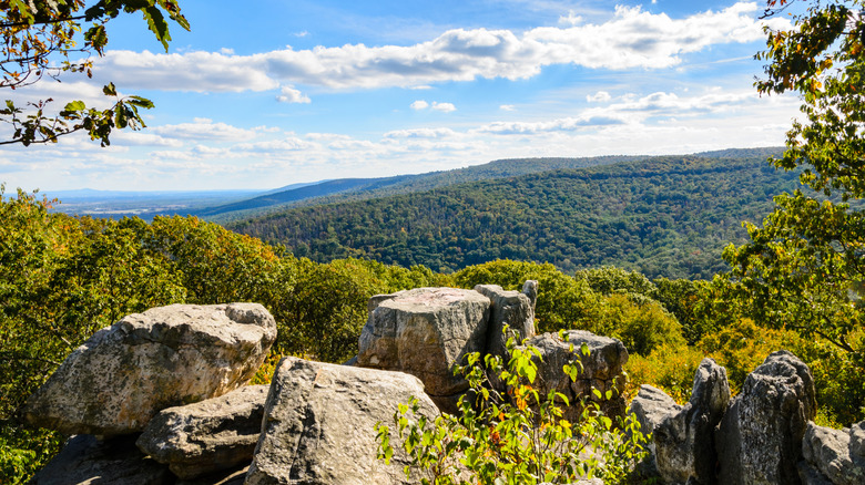 View of Catoctin Mountain Park from the Wolf Rock vista