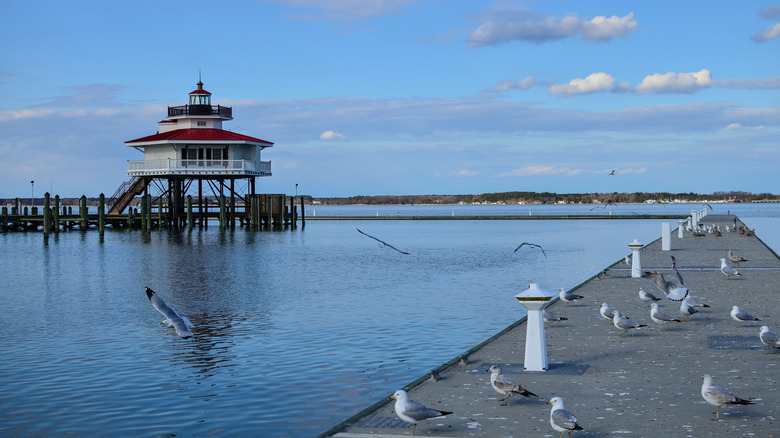 Lighthouse near Long Wharf Park, Cambridge, Maryland