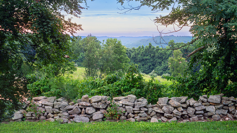 A scenic view of rock wall in front of greenery in Susquehanna State Park in Maryland
