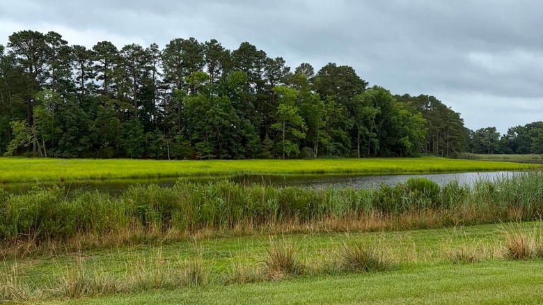 Wetipquin Creek State Park in Maryland.