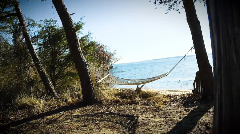 A hammock swings near one of Holly Beach Farm's beaches