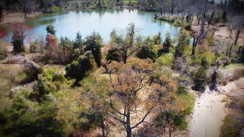 An aerial view of Holly Beach Farm's freshwater pond and walking trails