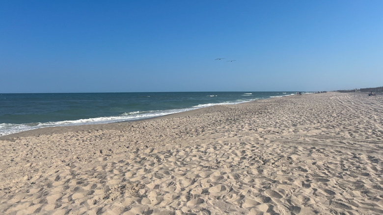 View of the Assateague State Park coastline