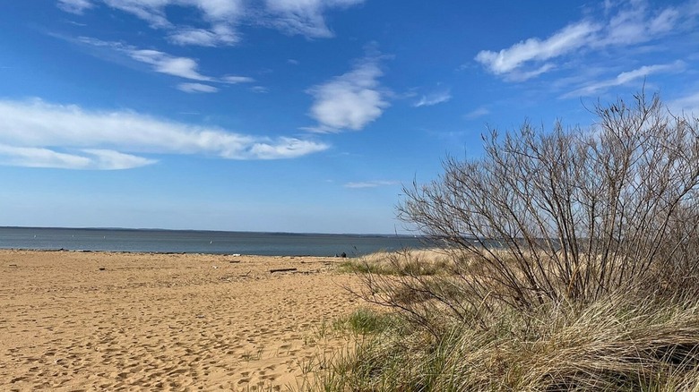 View of the sandy shoreline at Betterton Beach