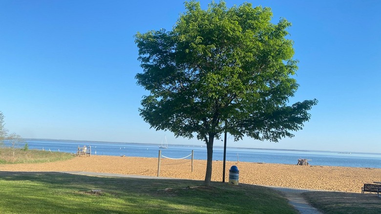 View of the beach at Betterton Beach