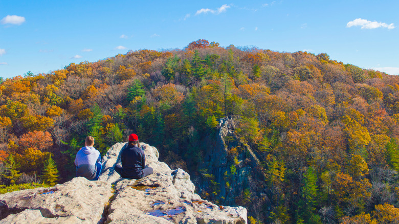Two climbers sitting on the King and Queen Seat in Rocks State Park overlooking trees
