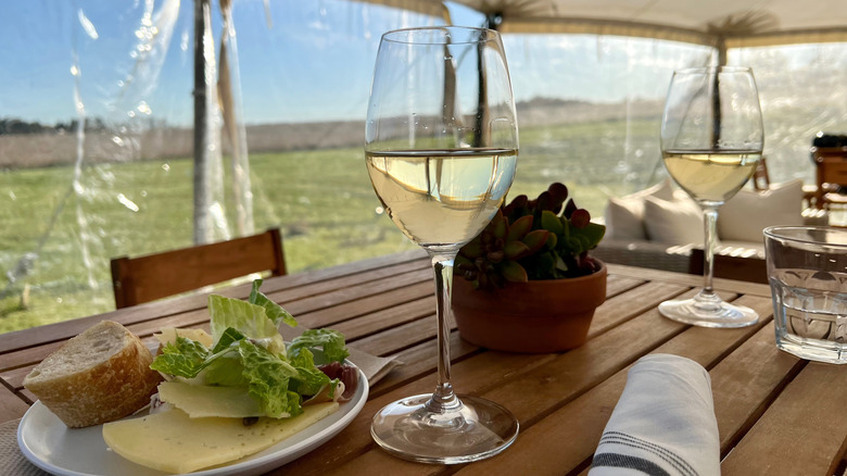 Picnic table with glasses of white wine and plates with bread and cheese