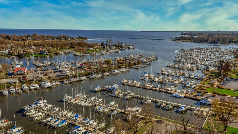 A sunny marina filled with boats and lined by trees in Deale