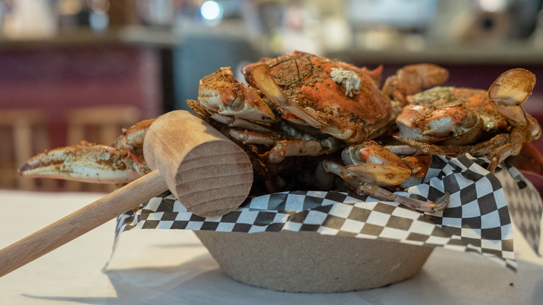 Steamed Maryland crabs in a basket