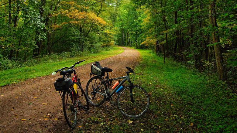 Two abandoned bikes alongside the Great Allegheny Passage on a fall day