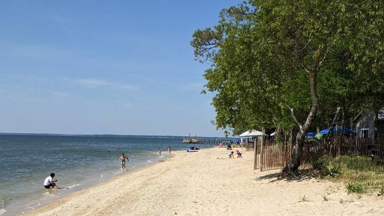View of the beach on St. George's Island