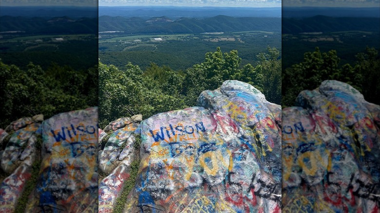 View from Dan's Rock Scenic Overlook