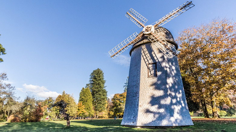 The windmill built by the Clise family at Marymoor Park in Redmond Washington