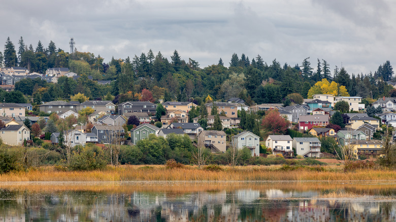 Colorful houses and lush foliage along a body of water on a cloudy day in Marysville, Washington