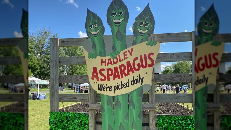 Hadley Asparagus Festival