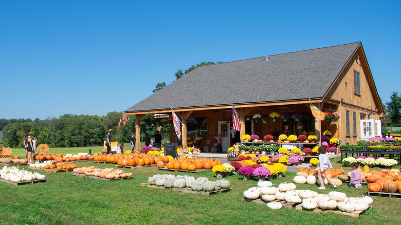 Front view of Fletcher Family Farm with pumpkins and flowers