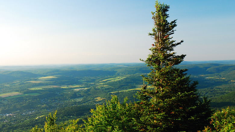 View from the summit of Mount Greylock in Massachusetts