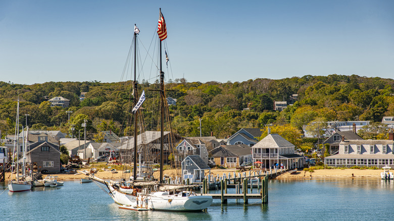 View of Vineyard Haven harbor and beach from the water