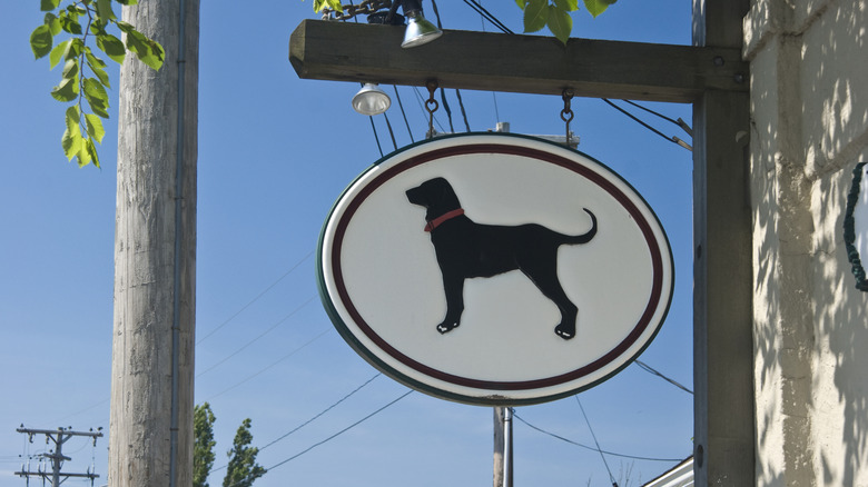 View of the Black Dog sign, the symbol of Martha's Vineyard