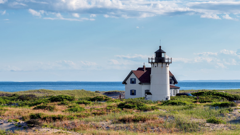 Race Point Lighthouse standing on a cliff surrounded by grassy landscape with the ocean as backdrop