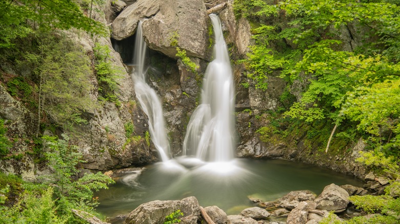 Cascading waterfall surrounded by green trees and plants at Bash Bish State Park in Massachusetts