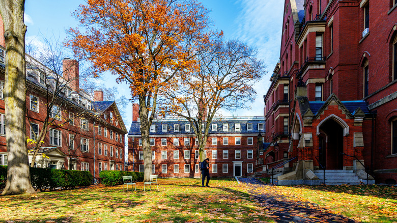 Harvard University during the fall season