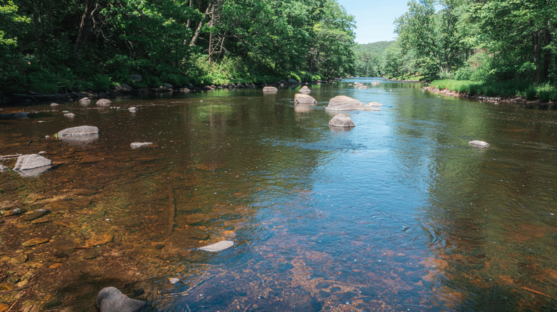 The Miller River running through the Bearsden Conservation Area in Athol, Massachusetts