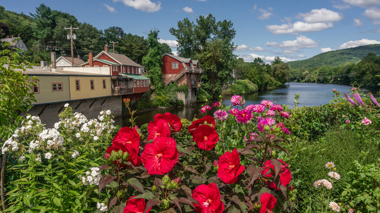 The Bridge of Flowers, Shelburne