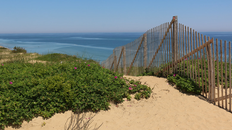 A walking path over the dunes in Marconi Beach