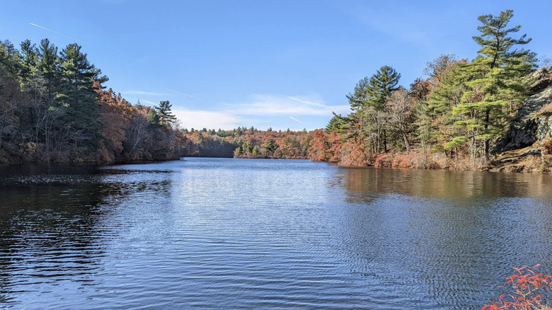 Lake and trees in Breakheart Reservation, Massachusetts