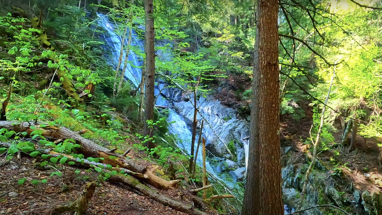 Tannery Falls in Savoy Mountain National Forest