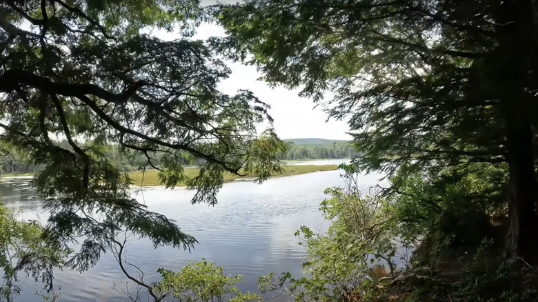 Bog Pond in Savoy Mountain State Forest