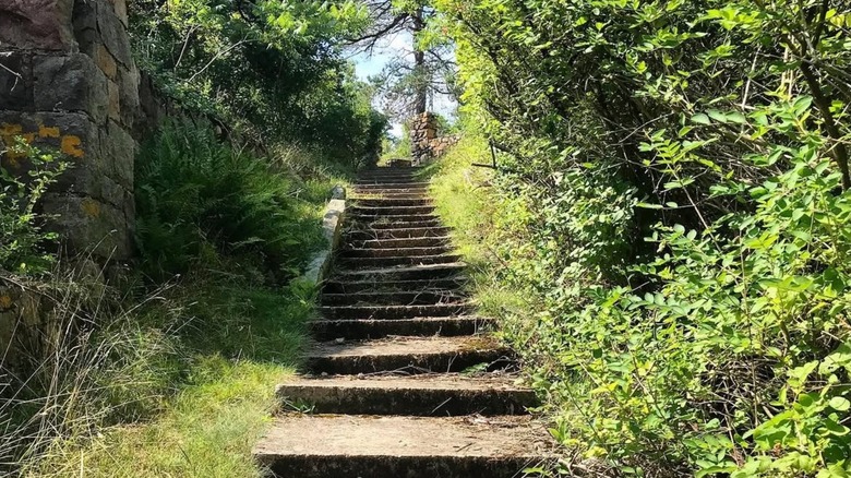An old staircase cutting through the trees on Great Misery Island in Salem Sound, Massachusetts.