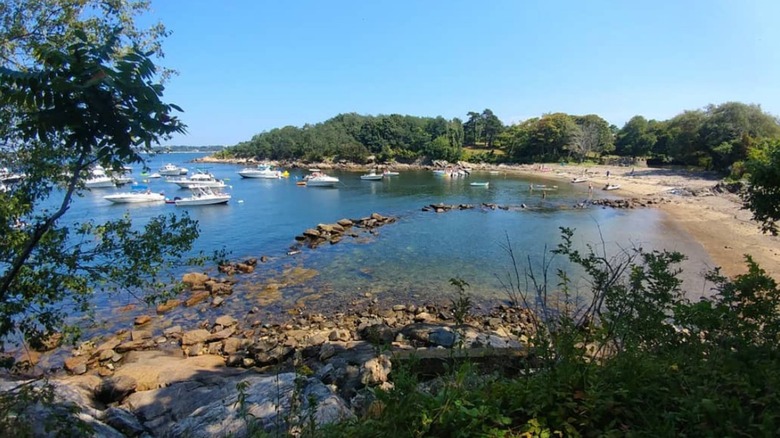 A view of the beach on Great Misery Island in Salem Sound, Massachusetts.