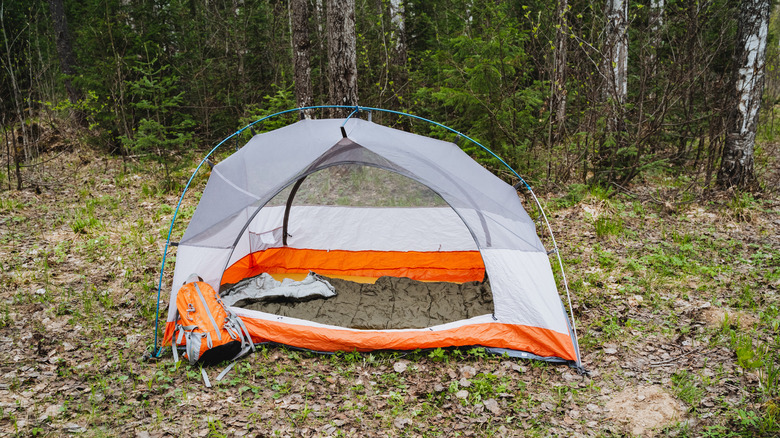 Empty orange-and-white tent in the forest
