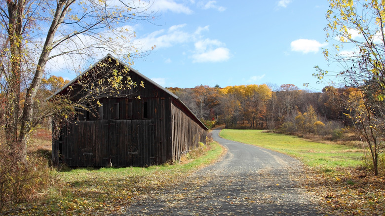 Farmhouse in Pioneer Valley with fall foliage