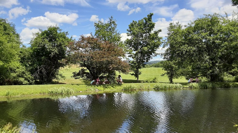 A pond on the grounds of Holiday Brook Farm in Dalton, Massachusetts